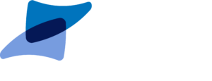 anesh solutions